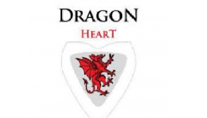 Pija Energjike Dragon Heart
